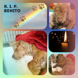 Benito_RIP