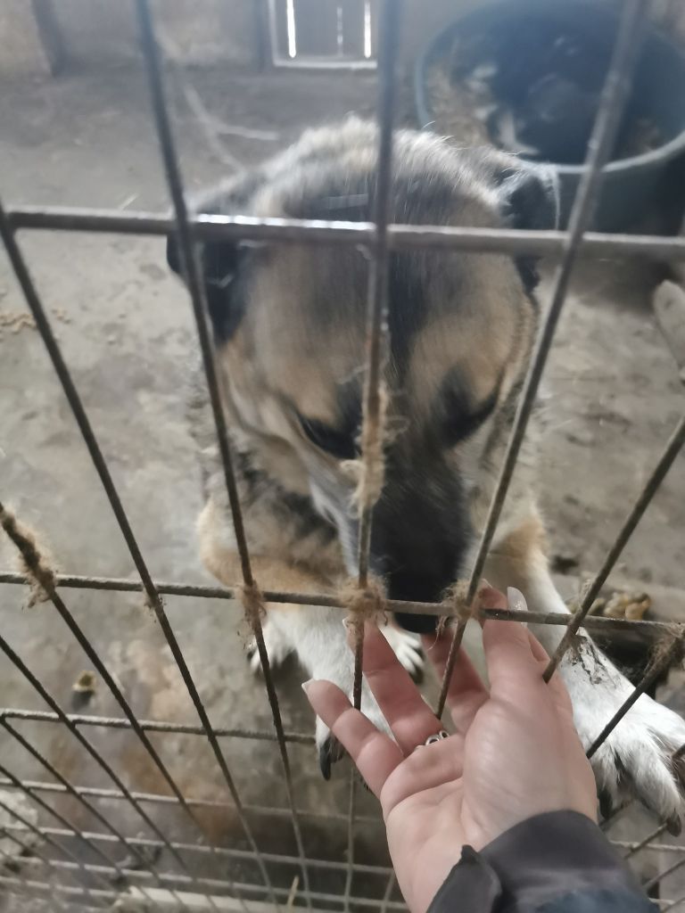 256008038_921795238429761_3355957079639085426_n_921795241763094