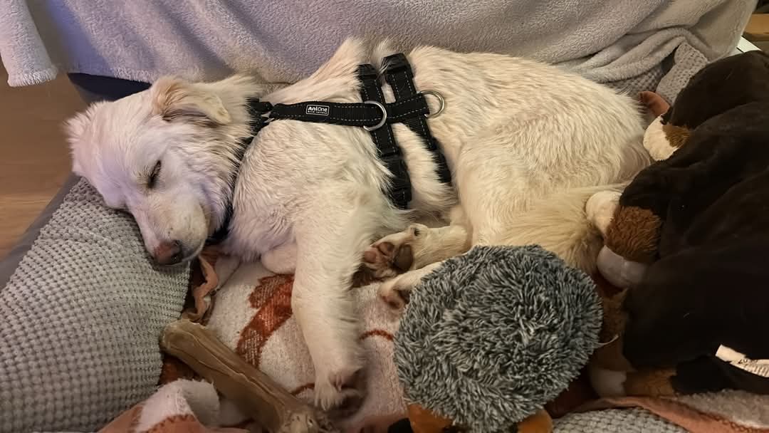 FB_IMG_1736802808466