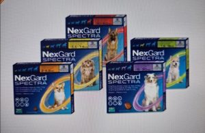 Aktion Nexgard 2025