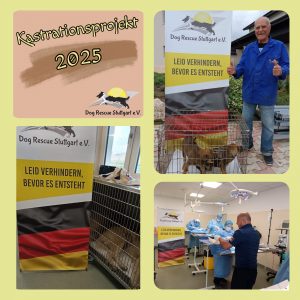 Kastrationsprojekte 2025