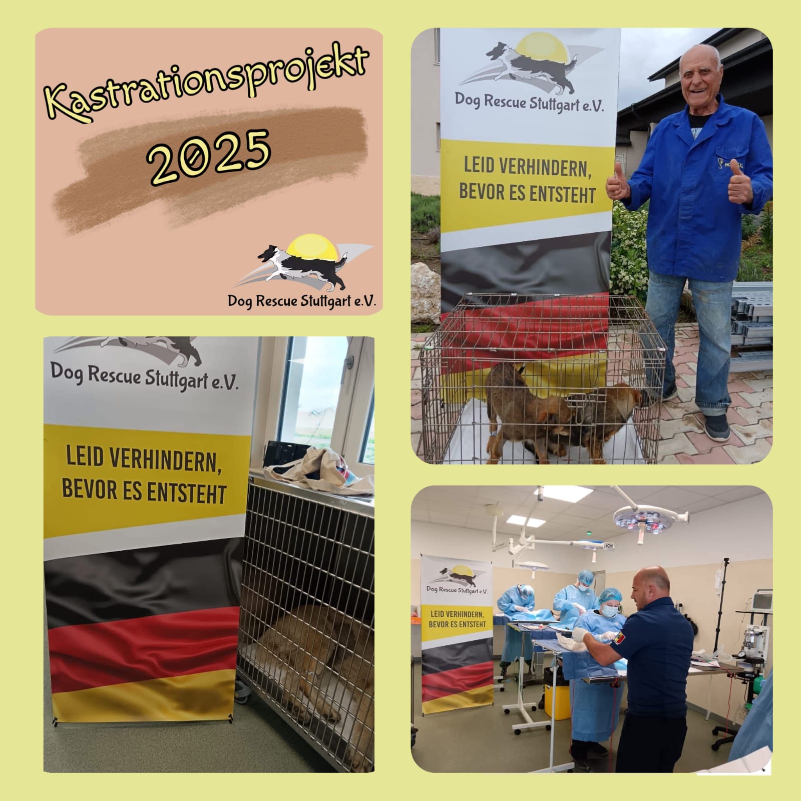 Kastrationsprojekt 2025