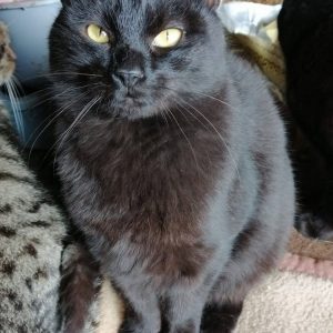 Screenshot_20251028_155001_com.facebook.katana_edit_1282760237610510