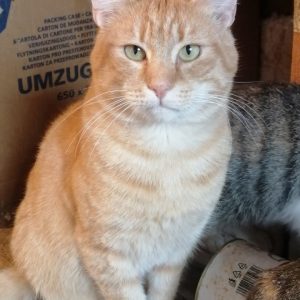 Screenshot_20251028_155002_com.facebook.katana_edit_1282754093977178