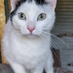 Screenshot_20251028_155005_com.facebook.katana_edit_1282740028989159