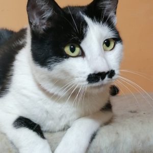 Screenshot_20251028_155007_com.facebook.katana_edit_1282732831326139