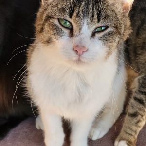 Screenshot_20251028_155008_com.facebook.katana_edit_1282726419908432