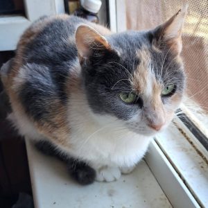 Screenshot_20251028_155009_com.facebook.katana_edit_1282720327881871