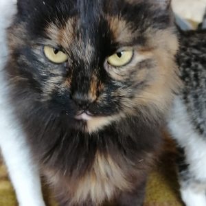 Screenshot_20251028_155011_com.facebook.katana_edit_1282711494450622