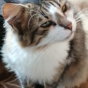 Screenshot_20251028_155013_com.facebook.katana_edit_1282704958244894