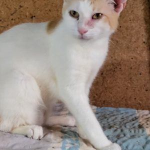 Screenshot_20251028_155015_com.facebook.katana_edit_1282686823460001