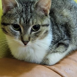 Screenshot_20251028_155016_com.facebook.katana_edit_1282680270660002