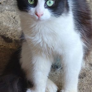 Screenshot_20251028_155023_com.facebook.katana_edit_1282656936505839