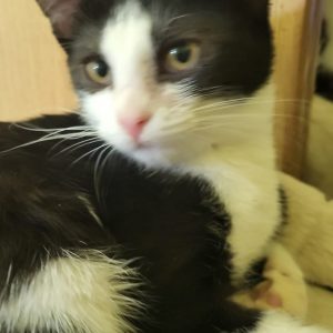 Screenshot_20251028_155029_com.facebook.katana_edit_1282638296291258