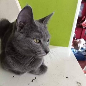 Screenshot_20251028_155037_com.facebook.katana_edit_1282619183020948