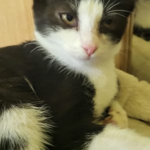 Screenshot_20251028_155040_com.facebook.katana_edit_1282606758438659