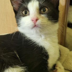 Screenshot_20251028_155042_com.facebook.katana_edit_1282600134619910