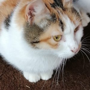 Screenshot_20251028_155046_com.facebook.katana_edit_1282580070246475