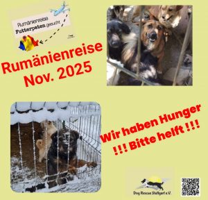 Rumänienreise 2025