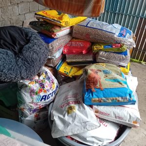 Spenden in Rumänien angekommen