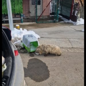 Screenshot_20260208_133700_com.facebook.katana