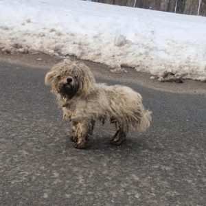 Screenshot_20260208_133702_com.facebook.katana_edit_4697655876442555