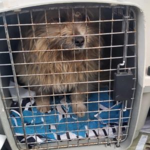 Screenshot_20260208_133703_com.facebook.katana_edit_4697650708379535