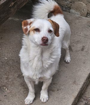 0fecd382-44a8-43f3-9024-725d55a1f40b