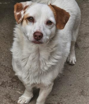 18dfa1cb-5a7f-491c-af6c-0ea1b0c232c7