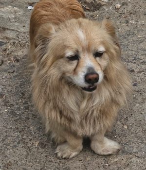 1e51e36a-6328-4510-8e47-abe060538785