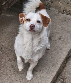 22e7e0c0-4820-4e0b-aebd-569b4963ca19