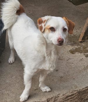 26e3ff72-f6a7-4cff-914e-a5202cda7477