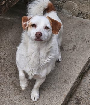 3738ab64-1eaf-4a96-8b81-c5f276839f68