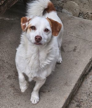 39eee3ca-b70b-40a0-96ad-5f20e44b45c0