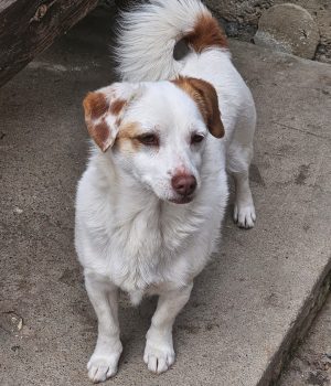 628049ac-57b3-42e9-b32a-d993d2108809