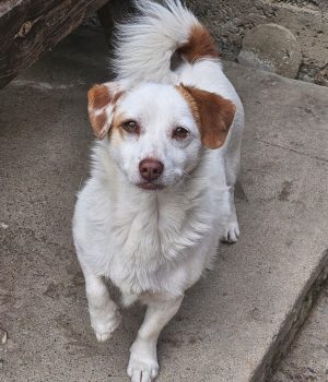 65f69de7-6c28-4780-be22-0c658a7ec9a2