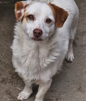 8036a089-8006-4bdc-9cec-4ecbe3ad0f51