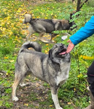 86de8819-20d7-4372-90db-eba3bf429700