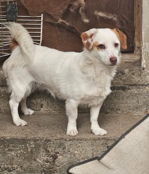 93b11b3f-b19a-47e4-9836-da698727e798