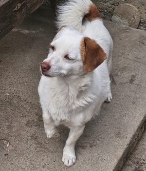 98e46d59-1036-477c-b830-cbb801f2183a