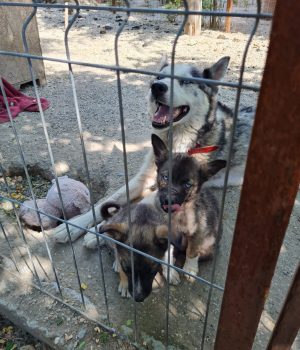 Ice und Maya mit Mama