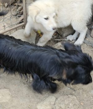 IMG-20250926-WA0057