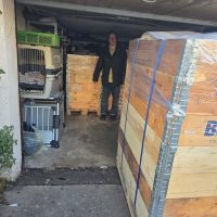 Palletten packen