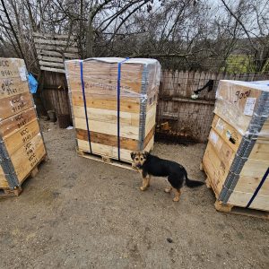 Paletten in Rumänien