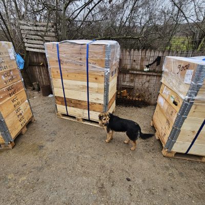 Paletten in Rumänien