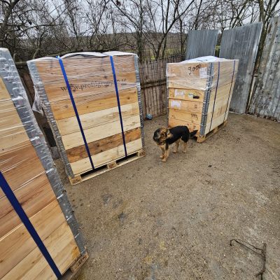 Paletten in Rumänien