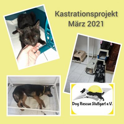 Kastrationsprojekt_Maerz_2021