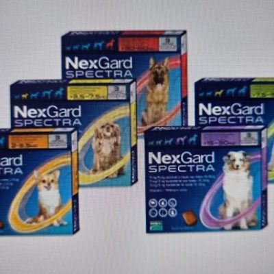 Nexgard 2