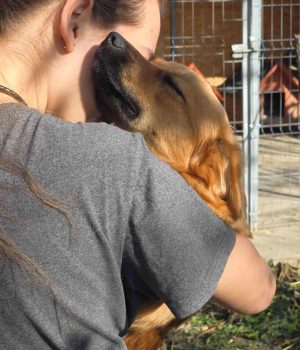 Rumaenienreise-11_24_Tag1-2 (12)