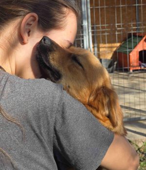 Rumaenienreise-11_24_Tag1-2 (8)